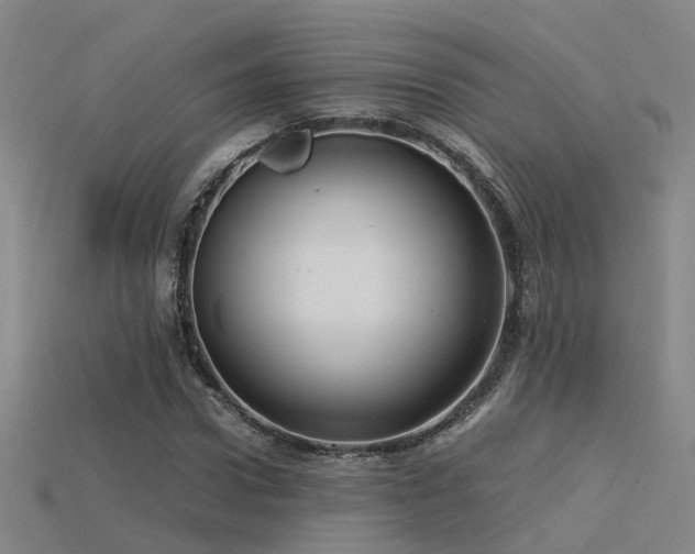 X0000115820922200911131441