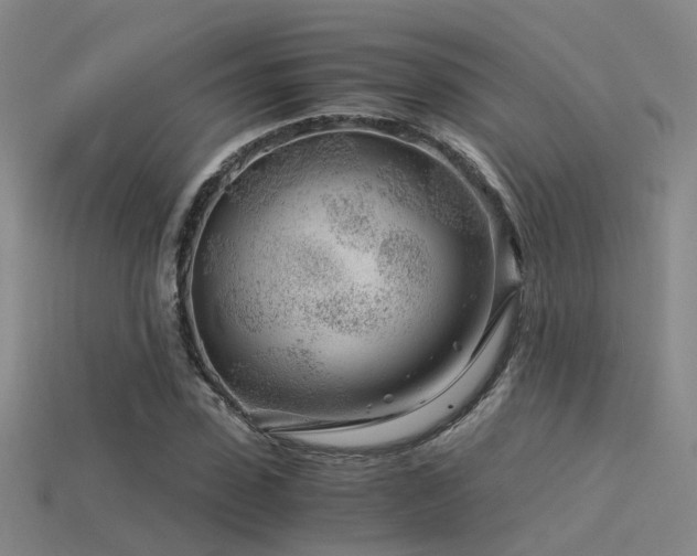 X0000115820923200911131441