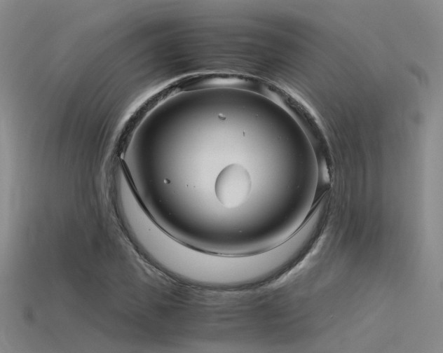 X0000115820925200911131441