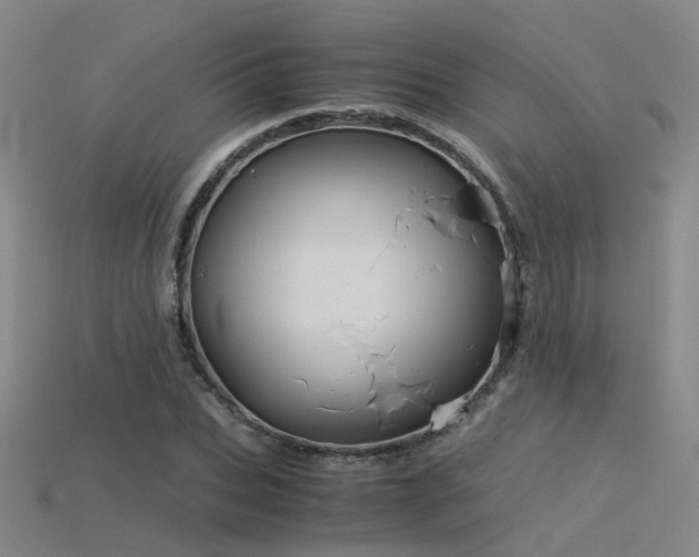 X0000115820927200911131441