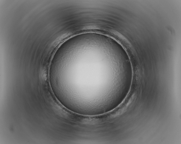 X0000115820929200911131441