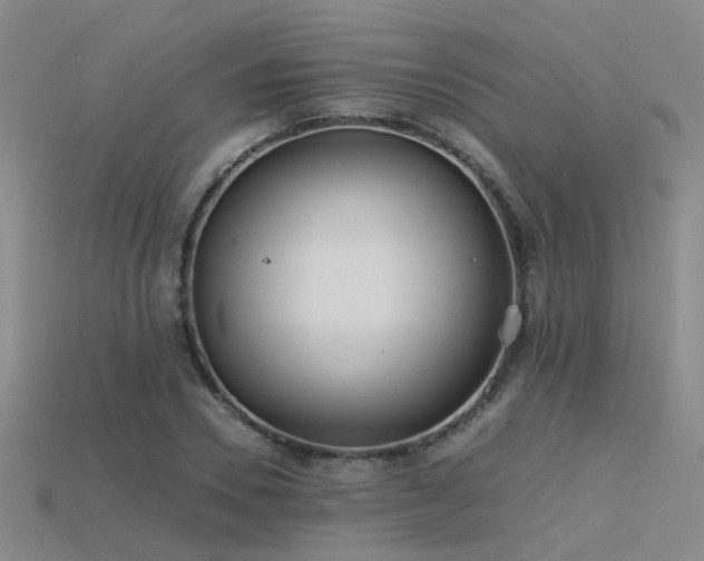 X0000115820930200911131441