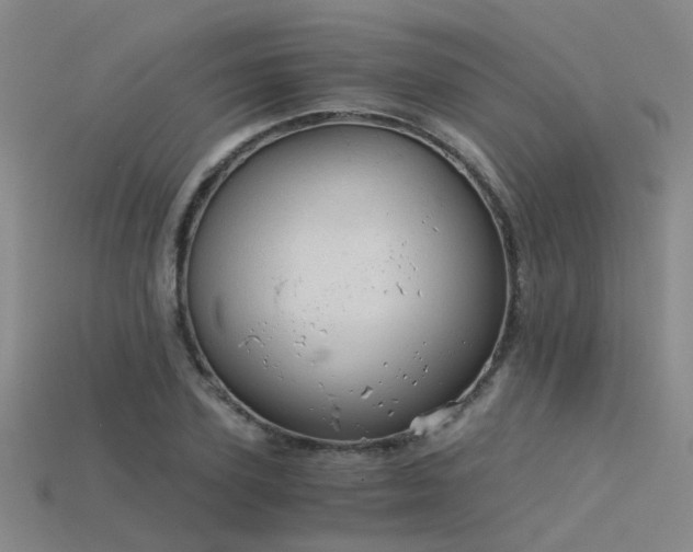 X0000115820931200911131441