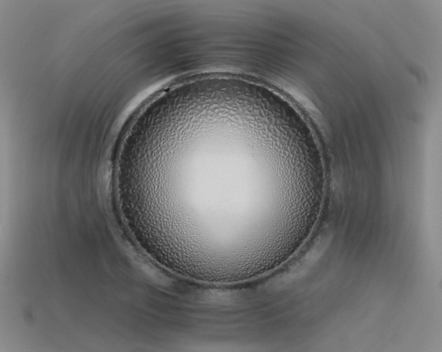 X0000115820933200911131441