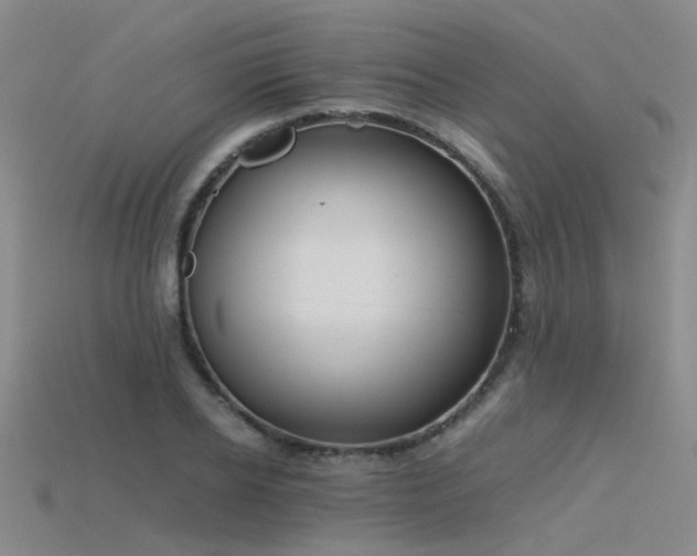 X0000115820934200911131441