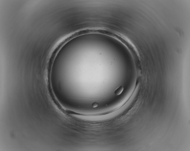 X0000115820935200911131441