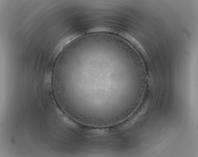 X0000115820937200911131441