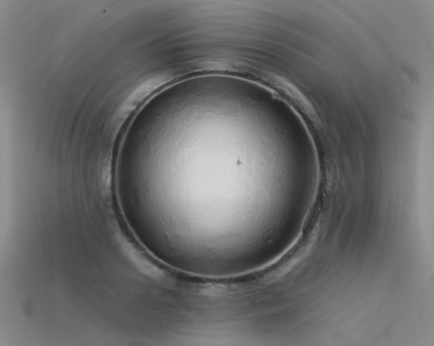 X0000115820938200911131441