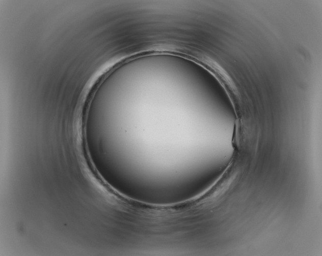 X0000115820939200911131441