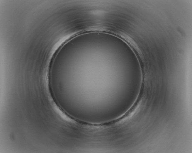 X0000115820941200911131441