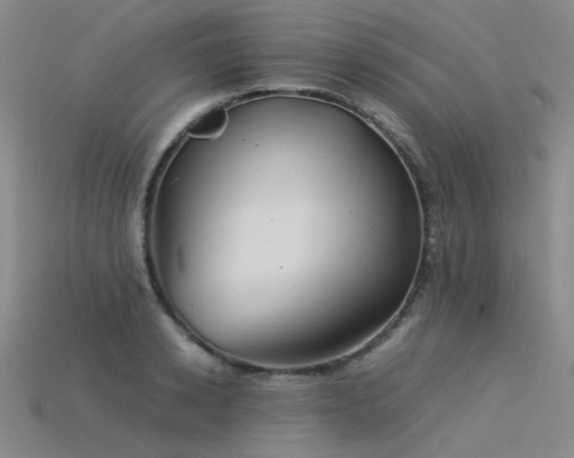 X0000115820942200911131441