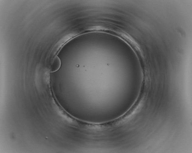 X0000115820945200911131441