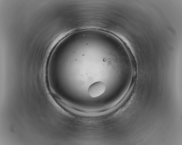 X0000115820949200911131441