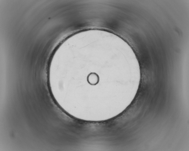 X0000115820950200911131441