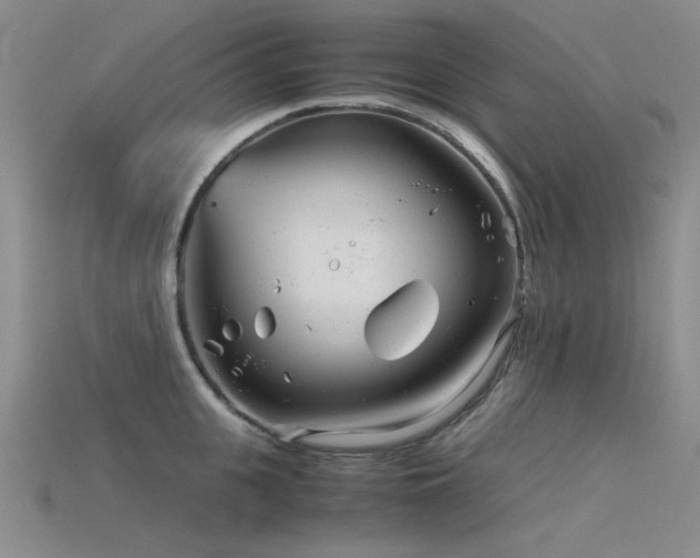 X0000115820951200911131442