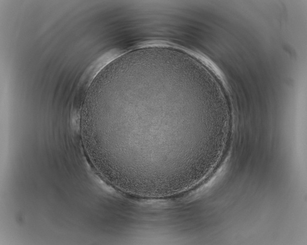 X0000115820953200911131442