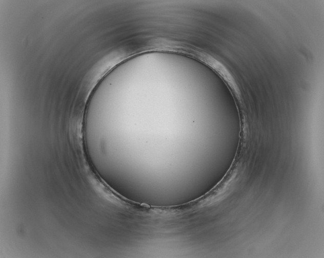 X0000115820954200911131442