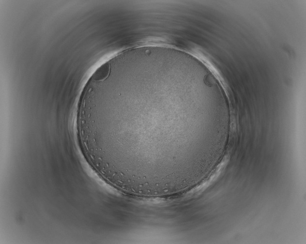 X0000115820957200911131442