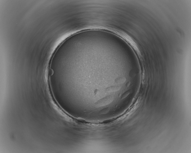 X0000115820958200911131442