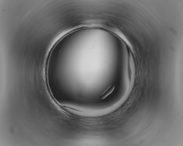 X0000115820959200911131442