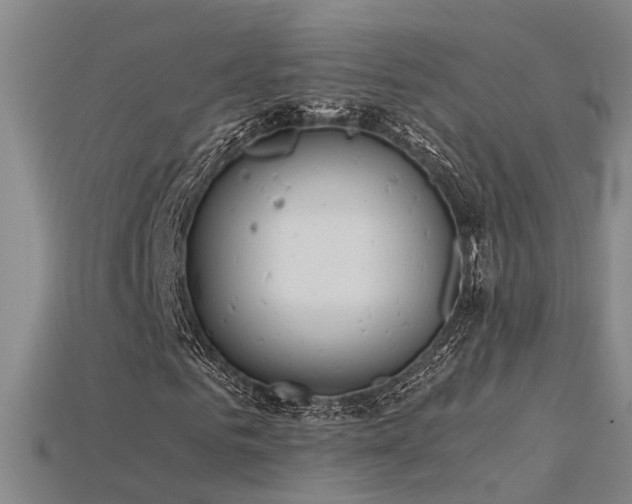 X0000115820961200911131441