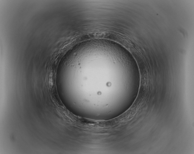 X0000115820962200911131441