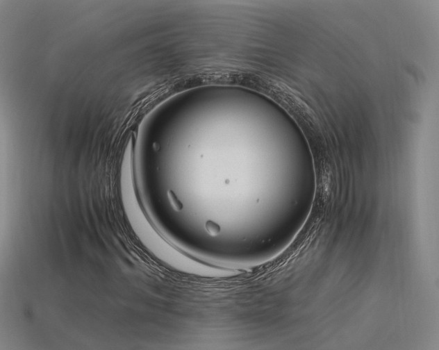 X0000115820964200911131441