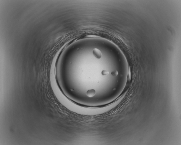 X0000115820965200911131441