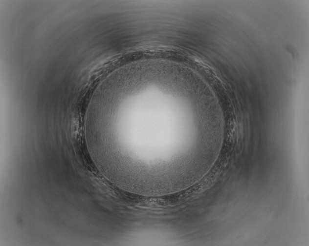 X0000115820966200911131441