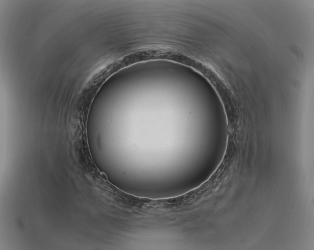 X0000115820967200911131441