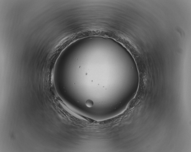 X0000115820968200911131441