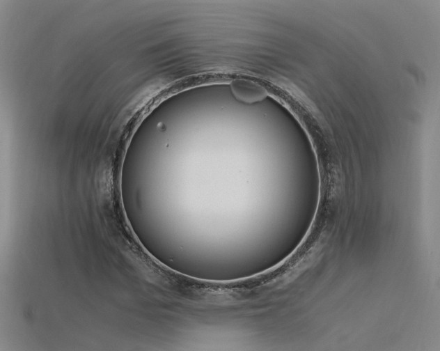 X0000115820969200911131441