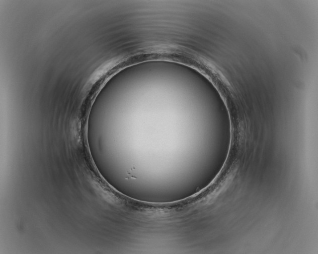 X0000115820970200911131441