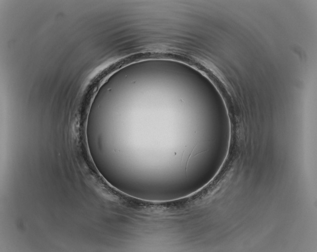 X0000115820971200911131441