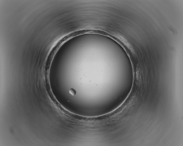 X0000115820972200911131441