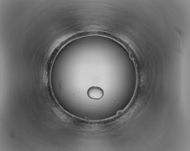 X0000115820973200911131441