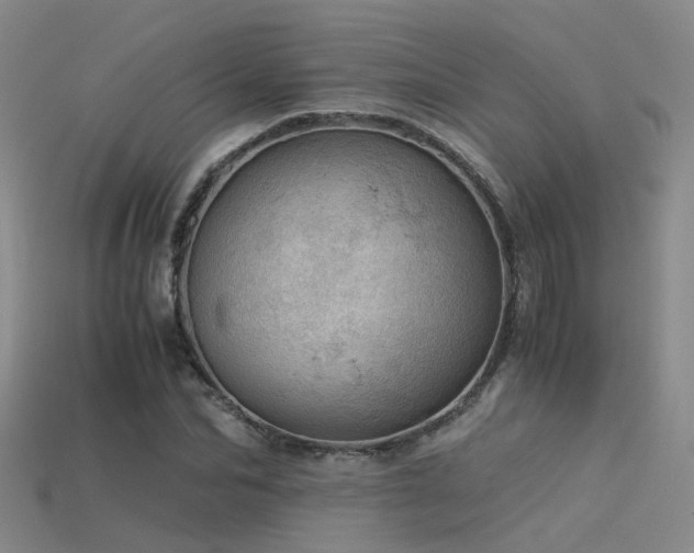 X0000115820974200911131441