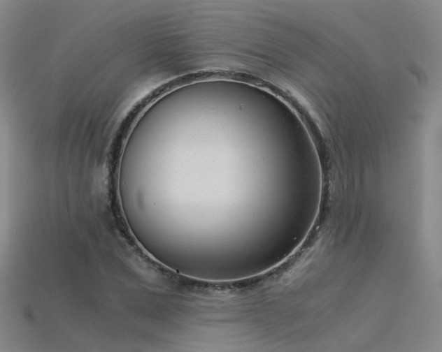 X0000115820975200911131441