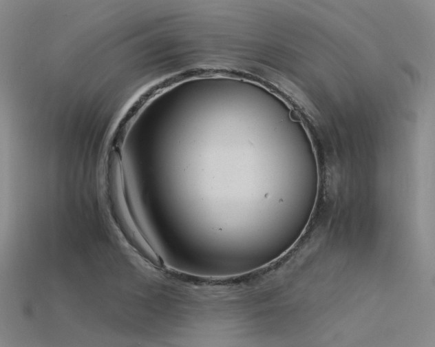 X0000115820976200911131441