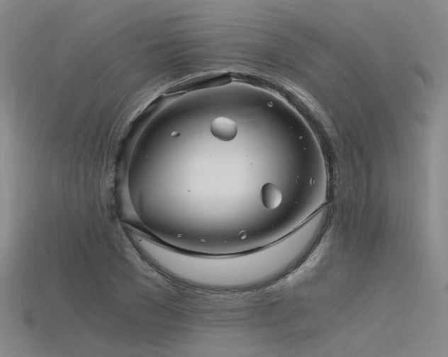 X0000115820977200911131441