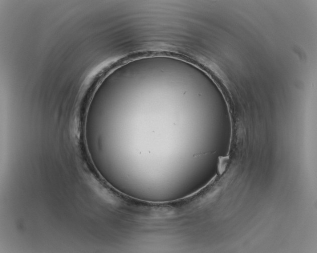 X0000115820979200911131441