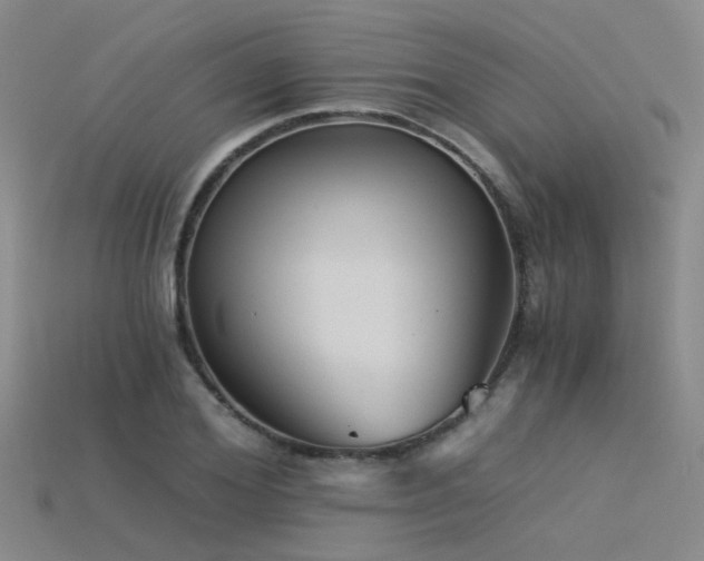 X0000115820980200911131441