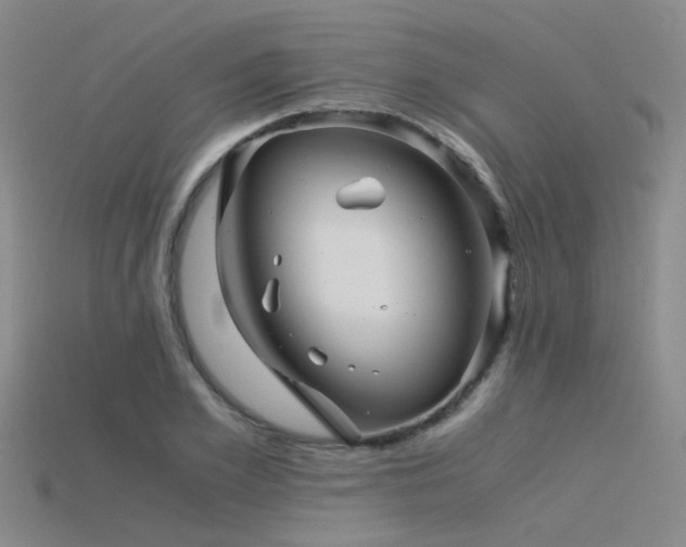 X0000115820981200911131441