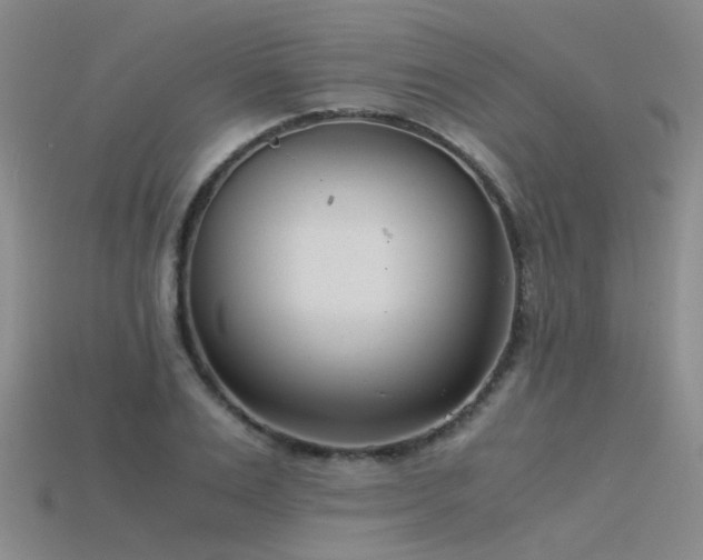 X0000115820983200911131441