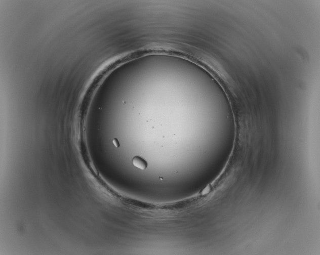 X0000115820984200911131441