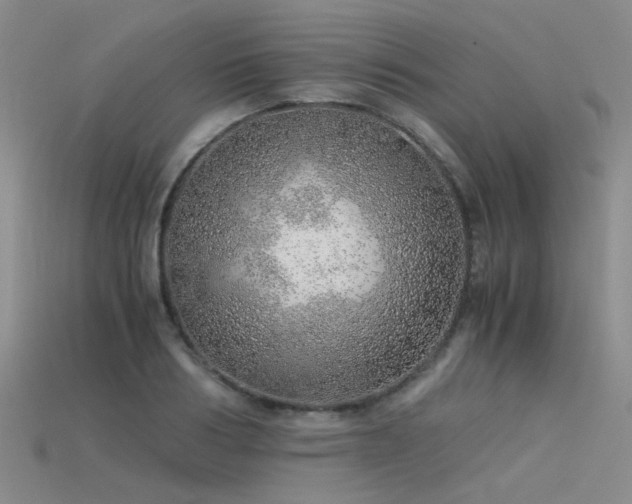 X0000115820986200911131441