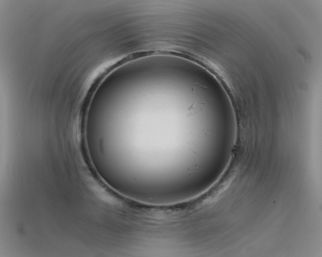 X0000115820987200911131441