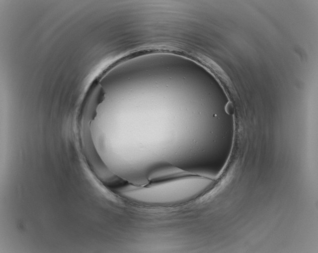 X0000115820989200911131441