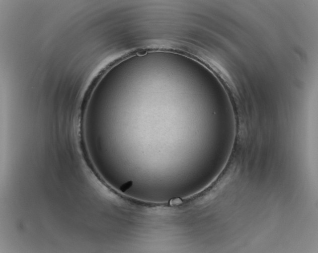 X0000115820992200911131441