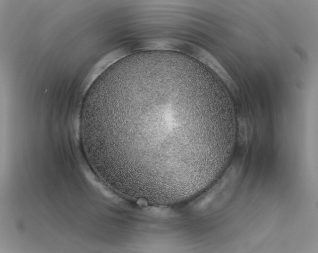 X0000115820994200911131441